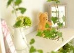 医療ウィッグ/医療カツラ/カットが出来る美容室/千葉県市川市