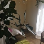 医療用ウイッグ専門店/医療ウィッグカラーリング/医療ウィッグカット/千葉県市川市